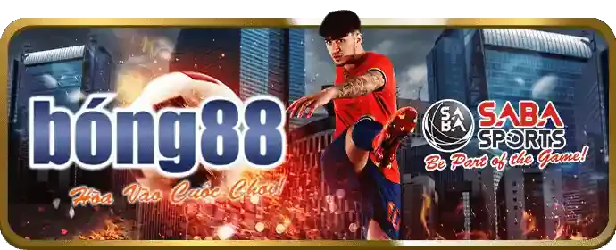 Cài đặt ứng dụng TR888